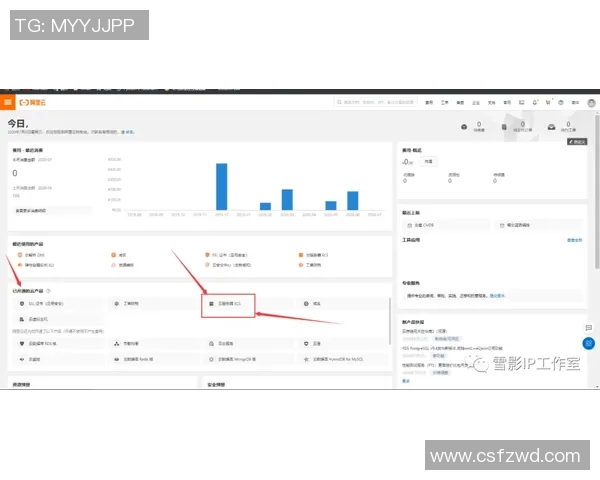 pg问鼎下载链接-揭秘PG问鼎下载链接，一站式资源获取的新途径-pg问鼎下载链接